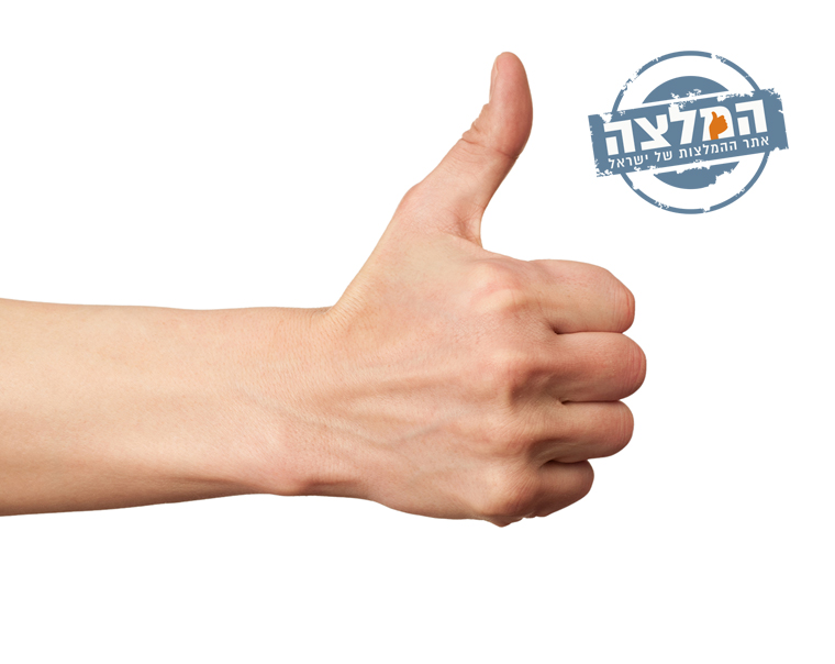 דוגי-סיטר/דוגי-ווקר/מוליך כלבים
