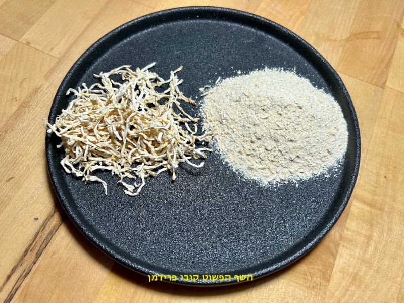 אבקת יבוש שורשי סלרי ענקיים במכונת יבוש למקלונים מיובשים ולאבקה לתיבול טבעוני ללא גלוטן