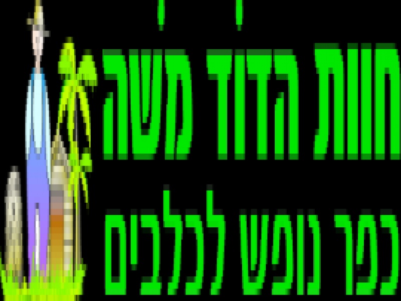 פנסיון כלבים ופנסיון ביתי בעידן ה - Airbnb