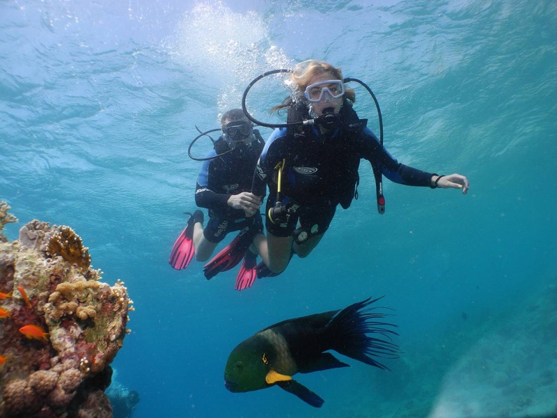 צלילת היכרות באילת