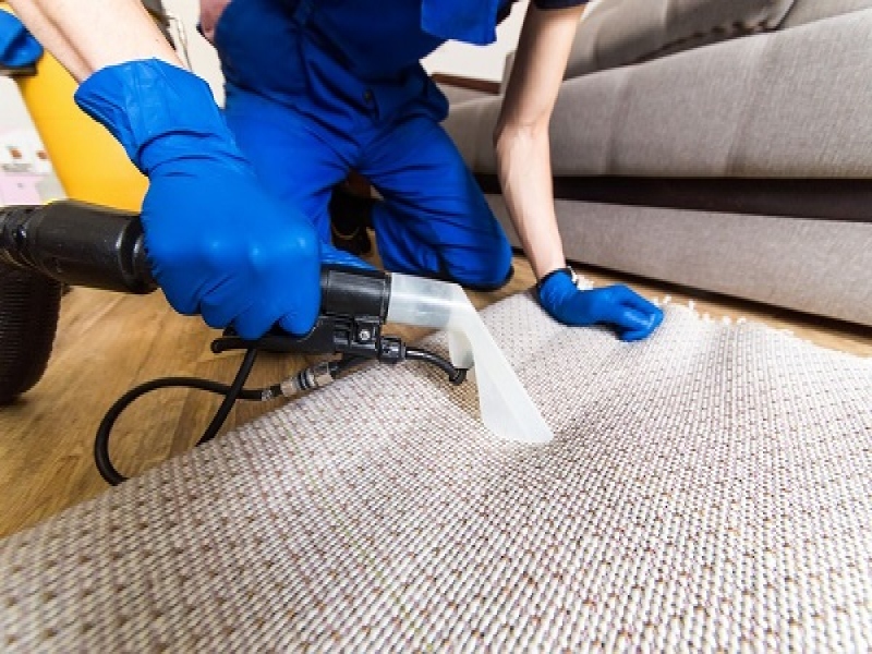 מהפכה בניקוי שטיחים: היתרונות של שירותים מקצועיים עם טכנולוגיה חדשנית