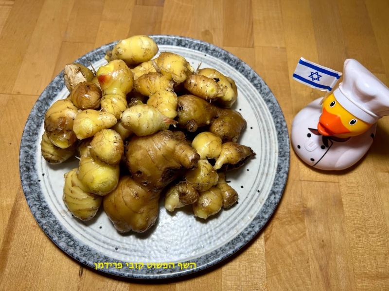 גידול ביתי של ג‘ינג