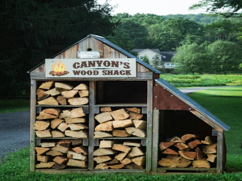 מחסן עצים תל אביב – המדריך לבחירת העץ הנכון לפרויקטים שלכם