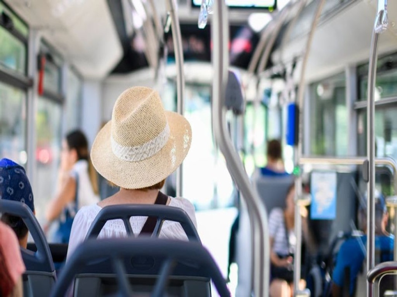 חברת הסעות לטיולים – איך בוחרים נכון ומה באמת חשוב לדעת