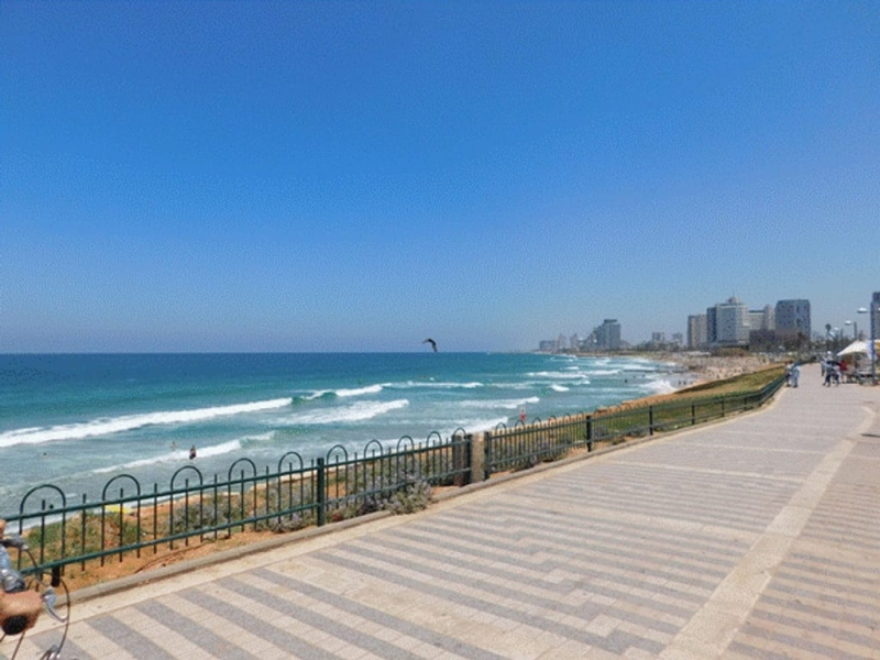  הדיון הציבורי על מדיניות חברתית בישראל
