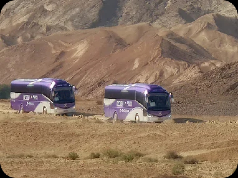 המדריך השלם לבחירת חברת הסעות: פתרונות תחבורה מקיפים לכל יעד, קבוצה ואירוע