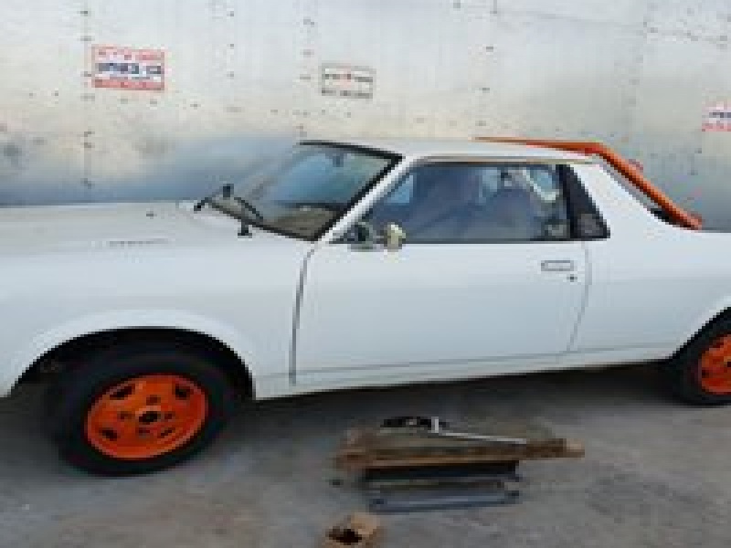 צביעה אלקטרוסטטית באבקה