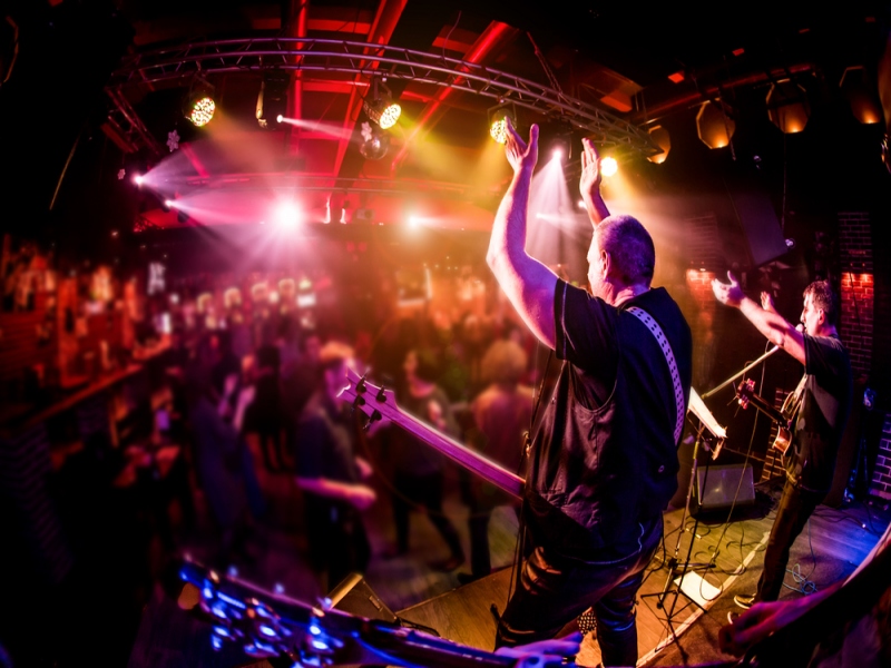 זאפה - הופעות מומלצות לשנת 2019