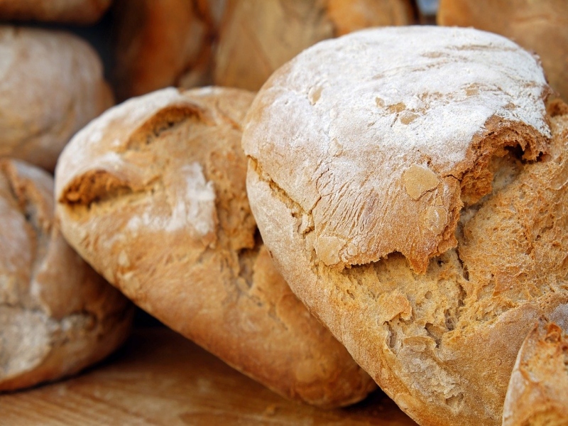 הלחמים הקלים הכי מומלצים - כיצד לבחור את הלחם הנכון?