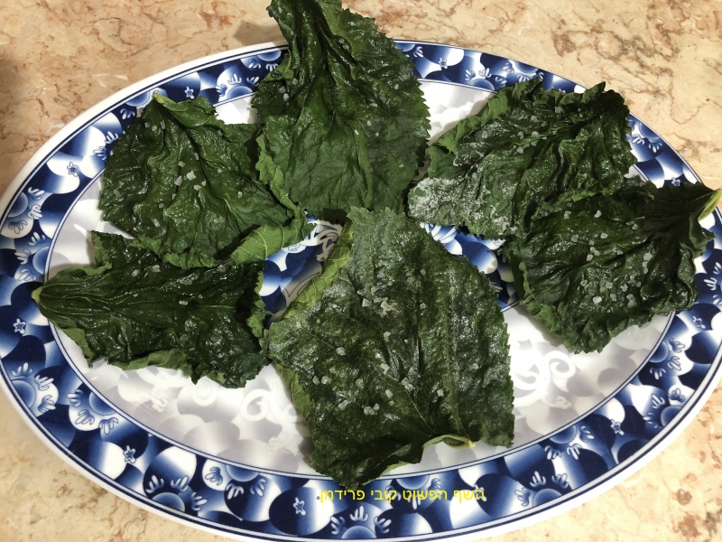 ציפס עלי עץ תות לקישוט ואכילה