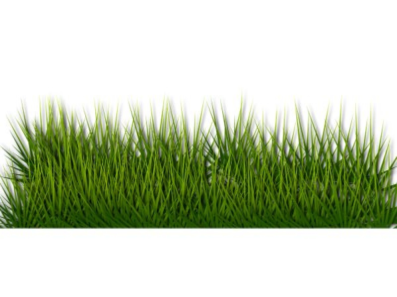 דשא סינטטי - מה חשוב לבדוק לפני בחירה?