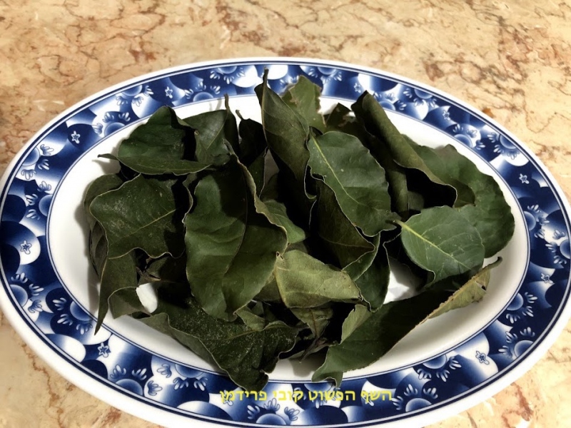 יבוש עלי דפנה(ער אציל) טבעי בשמש הביתית