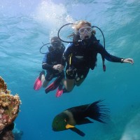 אקווה סטאר Aqua Star