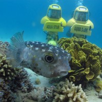 אקווה סטאר Aqua Star