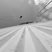 דוקטור סנפלינג