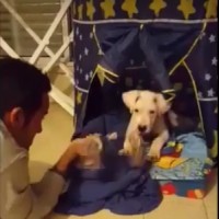 אחרי - ככה שוש נראה היום :)