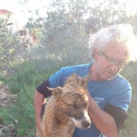 מחלצים את שועלי שעברה התעללות