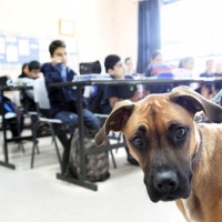 פעילויות חינוכיות