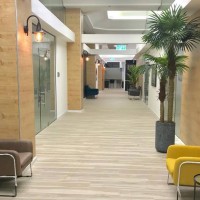 ד"ר רון קורמן אומנות הרפואה האסתטית