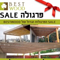 בסט ווד בנייה בעץ