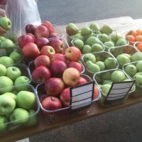 קניה ישירה מהחקלאים בחיפה