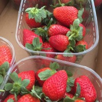 קניה ישירה מהחקלאים בחיפה