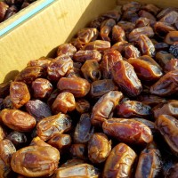 קניה ישירה מהחקלאים בחיפה