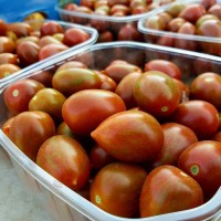 קניה ישירה מהחקלאים בחיפה