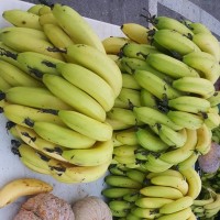 קניה ישירה מהחקלאים בחיפה