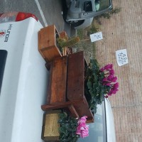 קניה ישירה מהחקלאים בחיפה