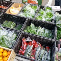 קניה ישירה מהחקלאים בחיפה