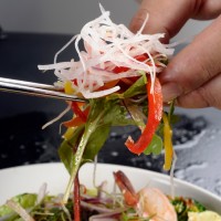 רן כליף צלם במאי