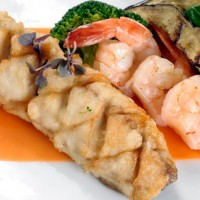 רן כליף צלם במאי