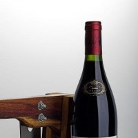 רן כליף צלם במאי