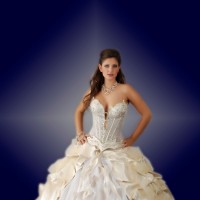 רן כליף צלם במאי