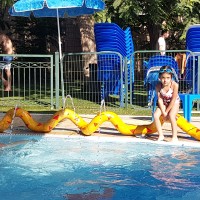 קאנטרי פרדסיה