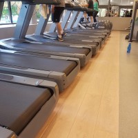 גלי רון הוד השרון