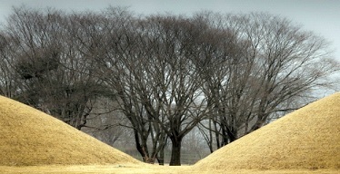 צו קיום צוואה