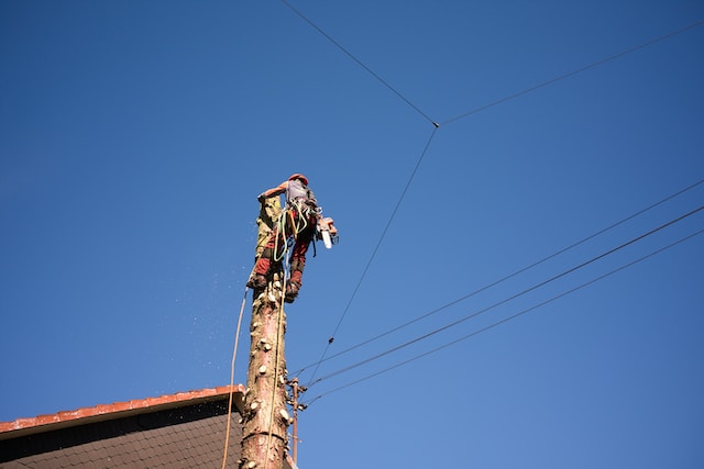 עבודות גובה