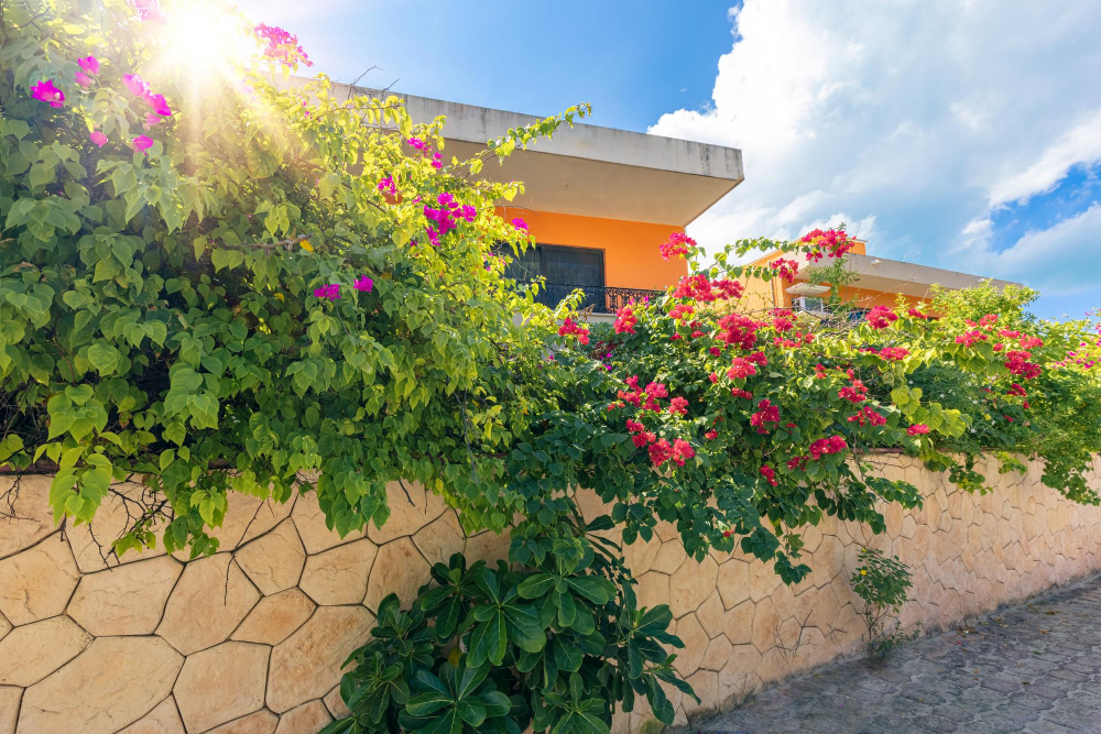 איסלה מוחרס - אי של חופש במקסיקו