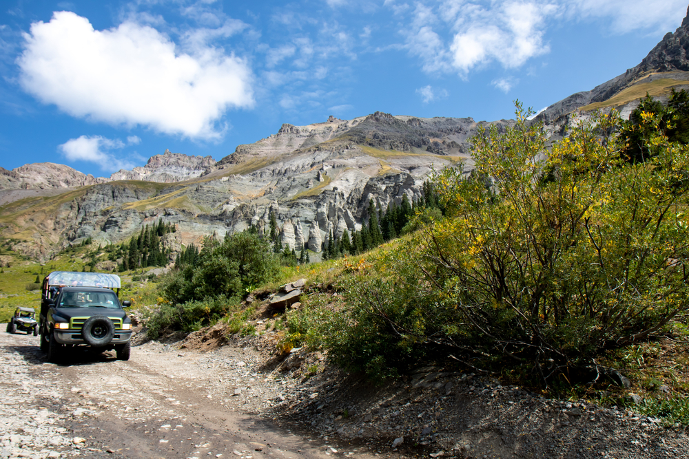 Five recommended field trips