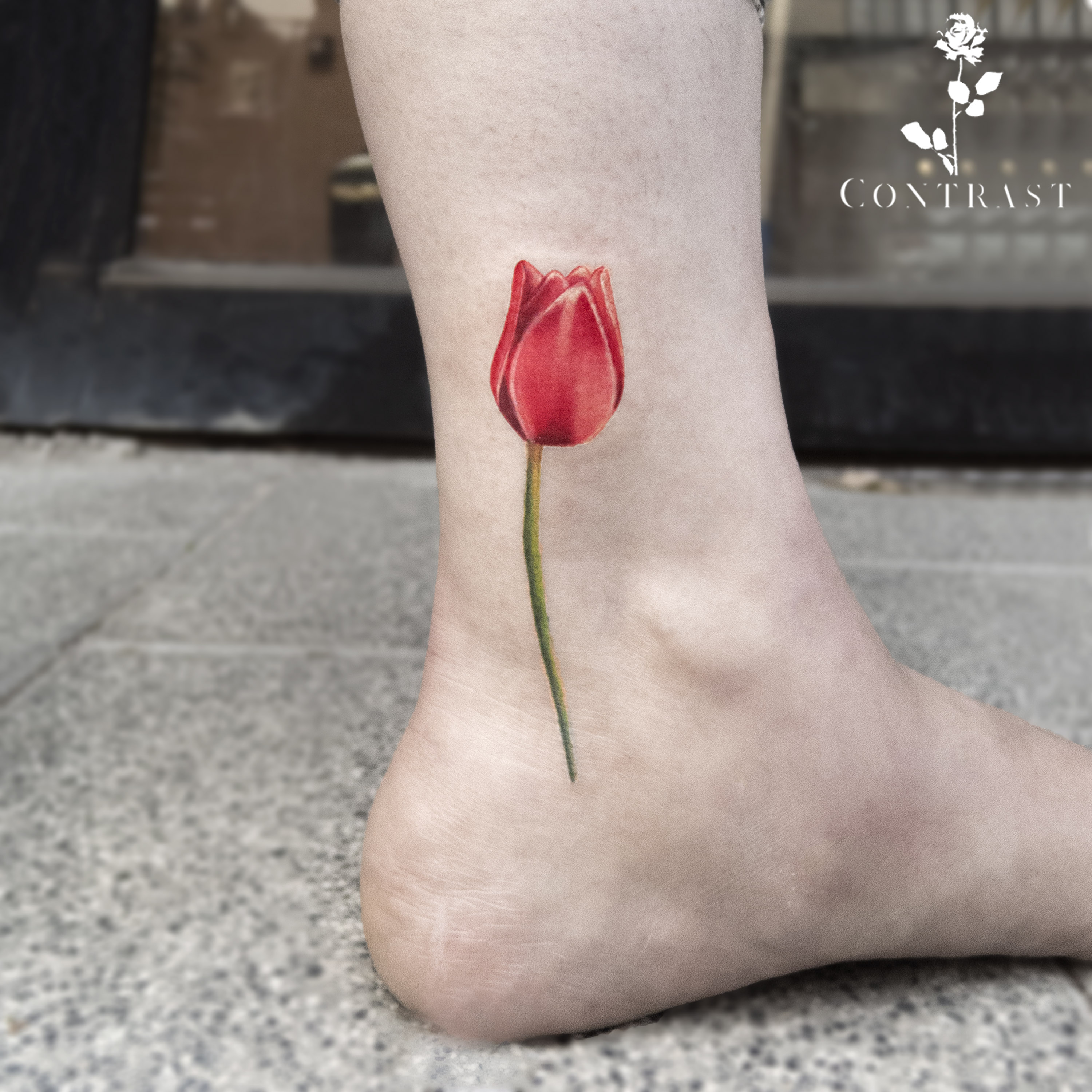 סטודיו קונטרסט לקעקועים סטודיו קונטרסט לקעקועים