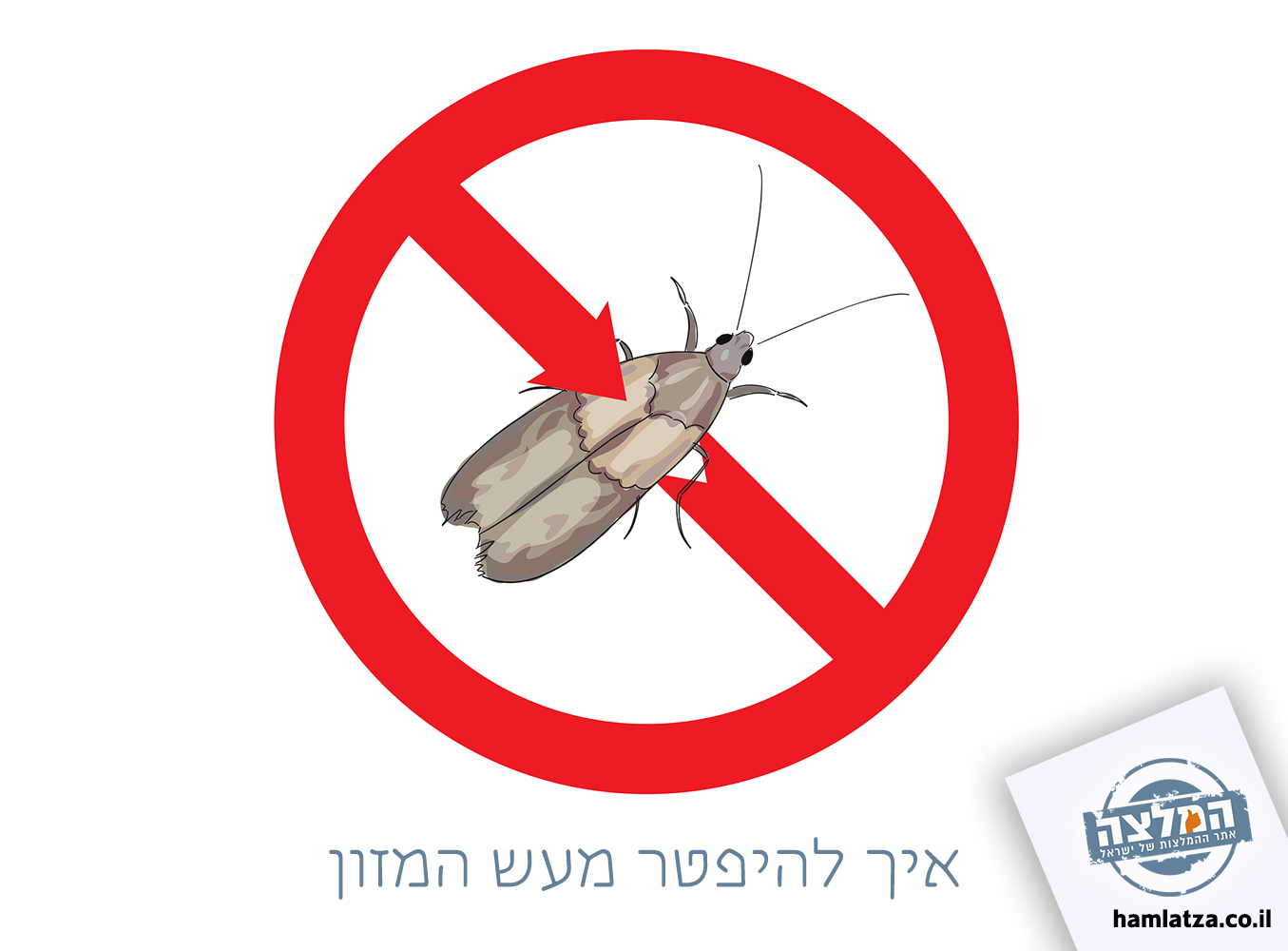 איך להיפטר מעש המזון