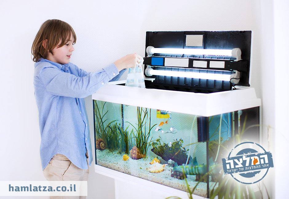 פילטר חיצוני או פנימי לאקווריום