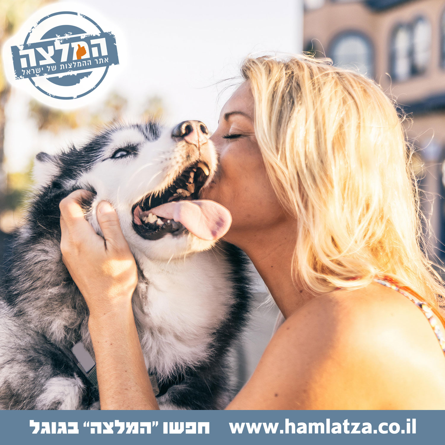 אימוץ כלב לעומת רכישה