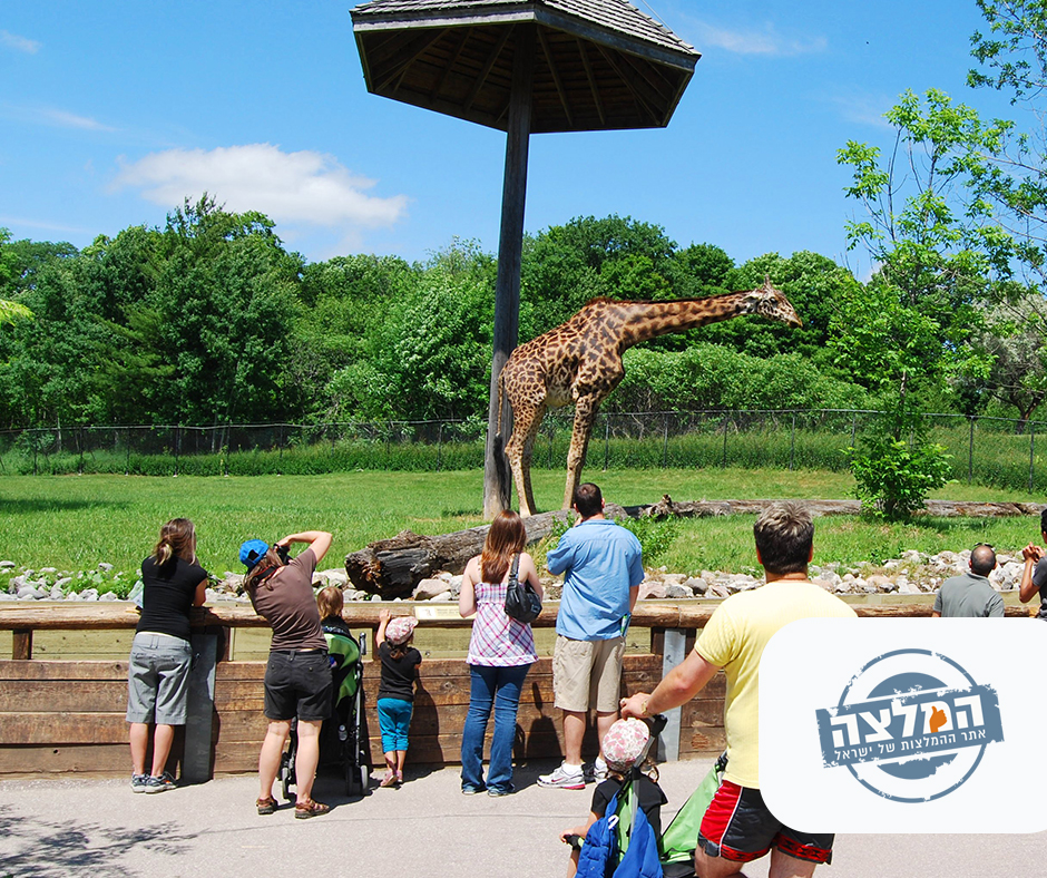 גני חיות מפורסמים ומומלצים בעולם