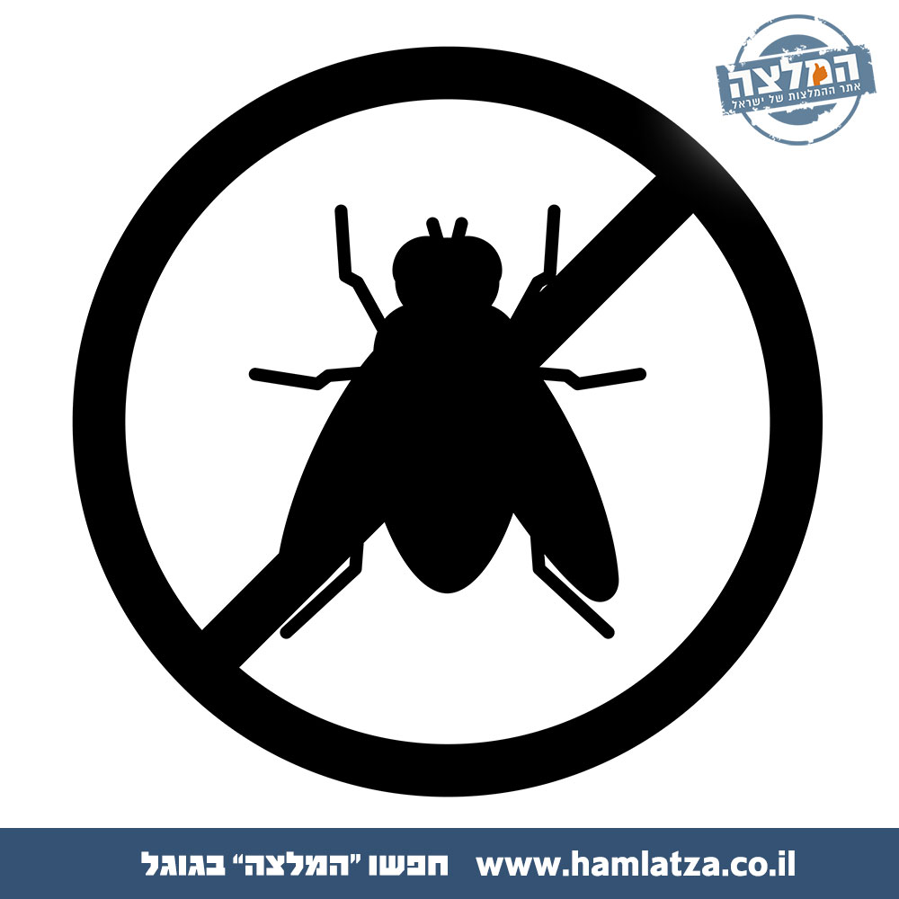 איך לגרש זבובים מהבית