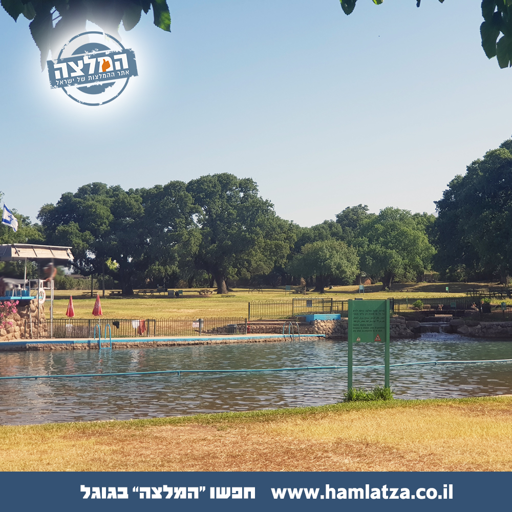 קמפינג בחורשת טל