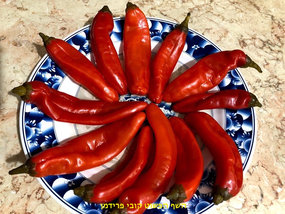 מיני פלפל שושקה כבוש פיקנטי