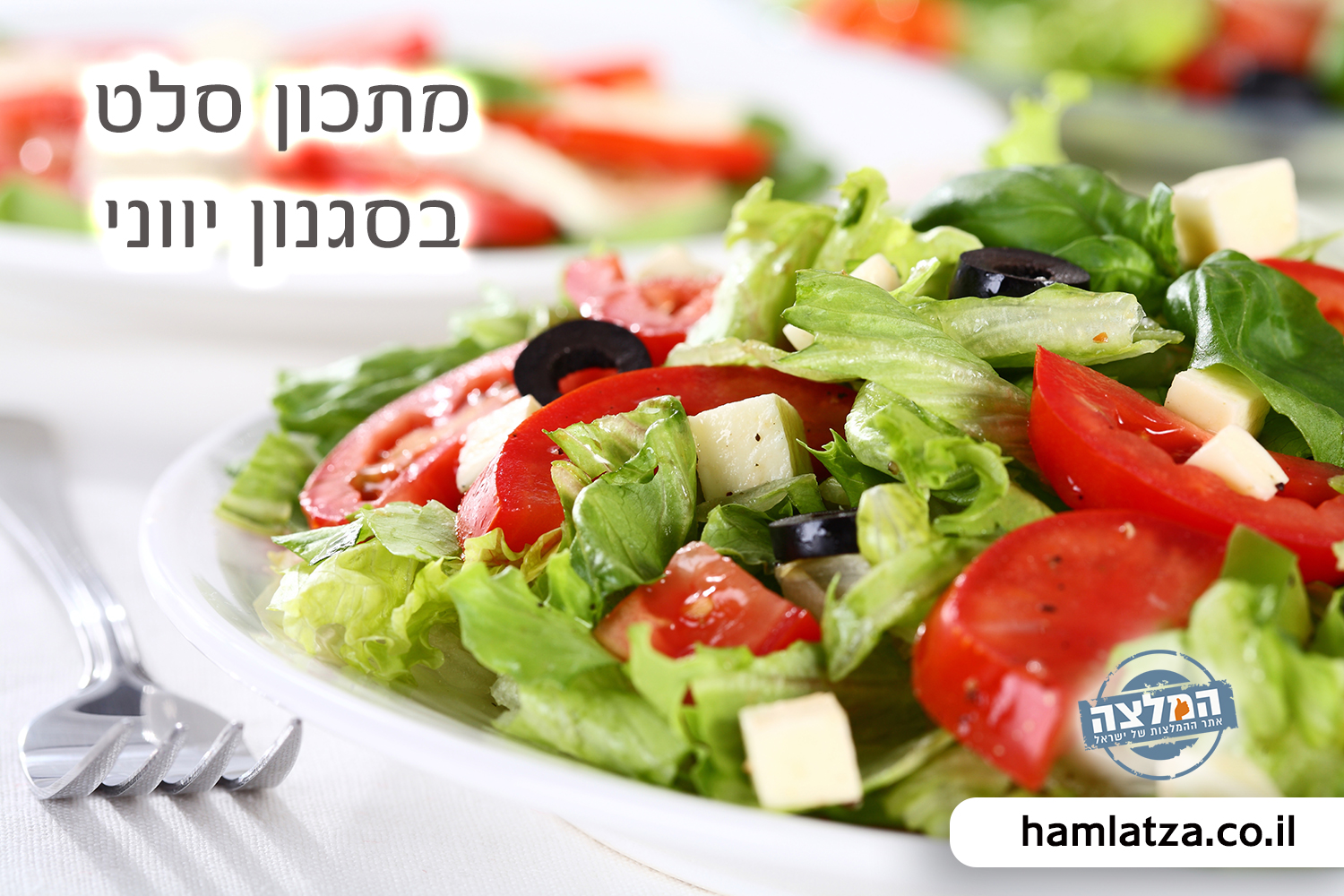 Greek style salad